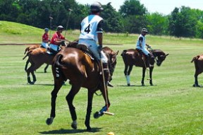 Kering-体育明星公益慈善影响深远，体育明星捐款和娱乐明星捐款